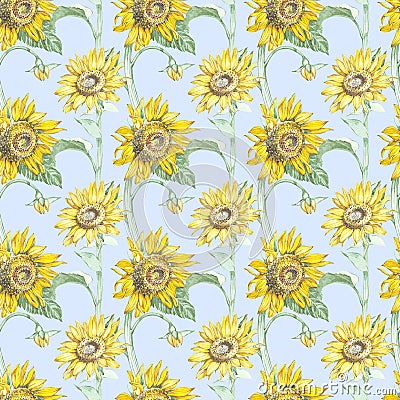 Illustration in watercolor of a Sunflowers. Floral card with flowers. Botanical illustration seamless pattern. Cartoon Illustration