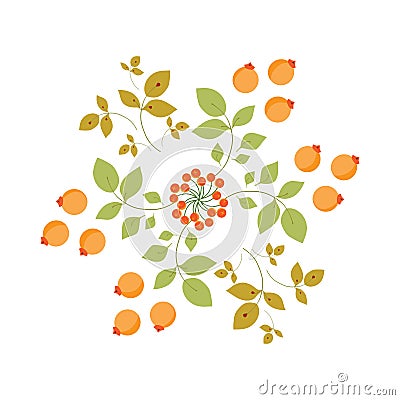 Illustration on a white background, a circular ornament of branches, berries and autumn flowers, a bouquet for cover, paper or Vector Illustration