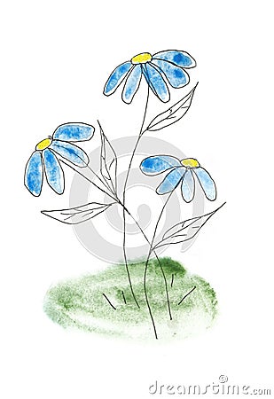 Pattern with chamomile camomile, leaves graphic illustration with watercolor elements on white background for printing on a t-sh Cartoon Illustration