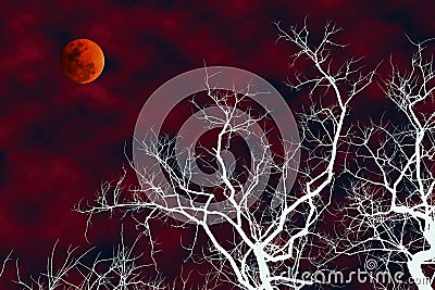 Illustration of white silhouette dead tree with blood moon Stock Photo