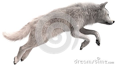 White Wolf Jumping, Wildlife, Isolated Stock Photo