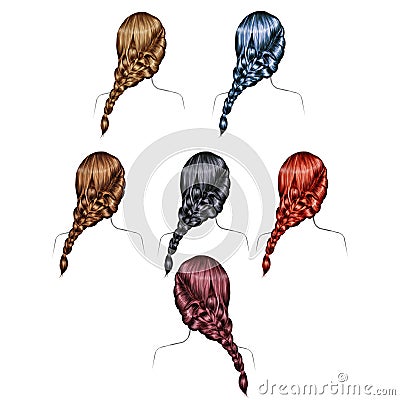 Illustration of woman hairstyles - woman hair - set - collection - Stock Photo