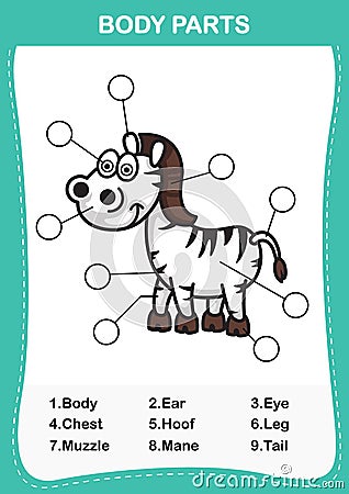 Illustration of zebra vocabulary part of body Vector Illustration