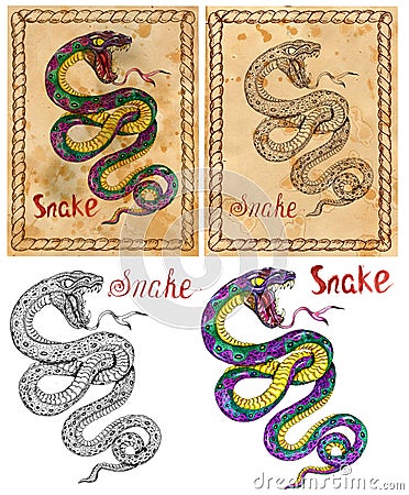 Illustration with zodiac animal - Snake Cartoon Illustration