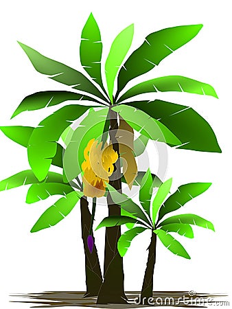 The illustrations and clipart. Tropical island with banana trees summer landscape Cartoon Illustration