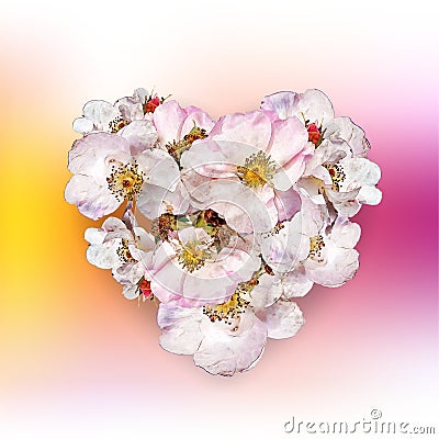 Heart shaped rosehip flowers card Stock Photo