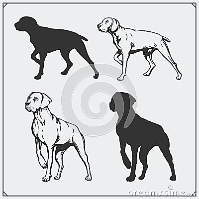 Illustrations and silhouettes of dogs. Black and white design. Vector Illustration