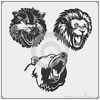 Illustrations of wild animals. Bear, lion and wolf. Vector Illustration