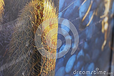 Illustrative editorial image of yellow tumbleweed graffiti painted on the side of a building Editorial Stock Photo