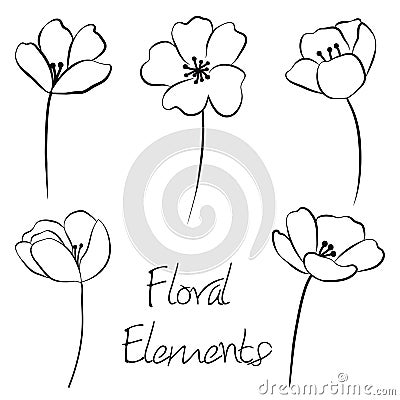 Illustrative hand drawn poppy-like flower doodle Vector Illustration