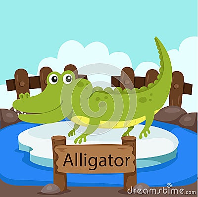 Illustrator of Alligator in the zoo Vector Illustration