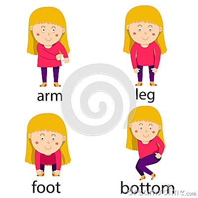 Illustrator of body path face girl four Vector Illustration