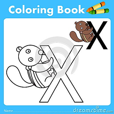 Illustrator of color book with xerus animal Vector Illustration