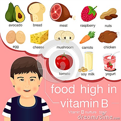 Illustrator of food high in vitamin B Vector Illustration