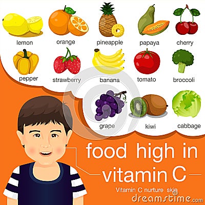 Illustrator of food high in vitamin c Vector Illustration