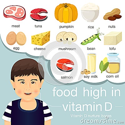 Illustrator of food high in vitamin d Vector Illustration