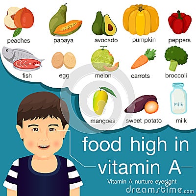 Illustrator of food high in vitamin a Vector Illustration