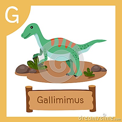 Illustrator of G for Dinosaur gallimimus Vector Illustration