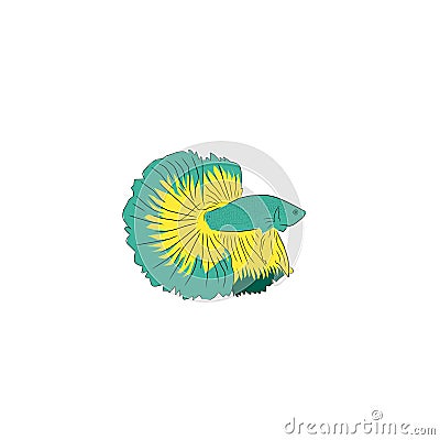 illustrator grapic vector of siamese fighting fish. Vector Illustration