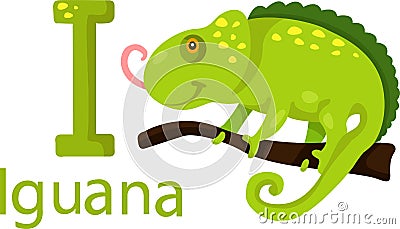 Illustrator of I with iguana Vector Illustration