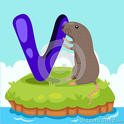 Illustrator of Letter 'V is for vole' Vector Illustration