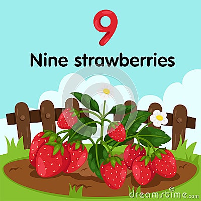 Illustrator of number nine strawberries Vector Illustration