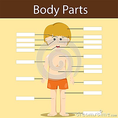 Illustrator of write body parts Vector Illustration