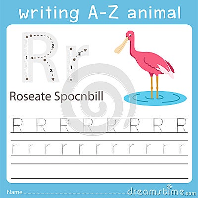 Illustrator of writing a-z animal r roseate spocnbill Vector Illustration