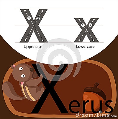 Illustrator of xerus with x font Vector Illustration