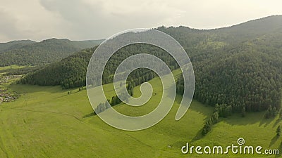 Im Sommer geht es in Richtung Kiefernwälder und Bergtal Europa Grüne Naturschutzgebiete Berge wild lebender Luft stock footage Im Sommer geht es in Richtung Kiefernwälder und Bergtal Europa Grüne Naturschutzgebiete Berge wild lebender Luft stock footage