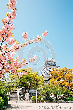 Imabari Castle at spring in Ehime, Shikoku, Japan Stock Photo