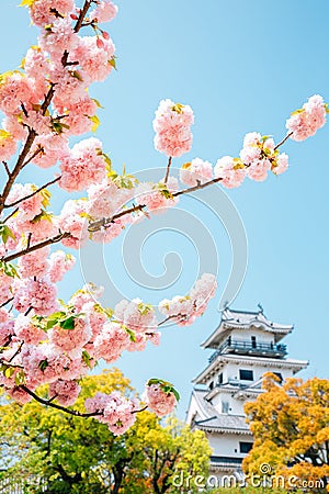 Imabari Castle at spring in Ehime, Shikoku, Japan Stock Photo