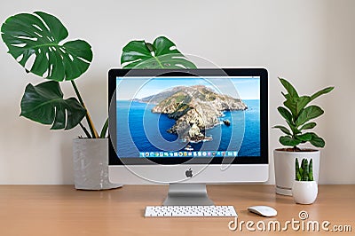 IMac computer with Monstera,Sansevieria cylindrica and Fiddle Fig Plants Editorial Stock Photo