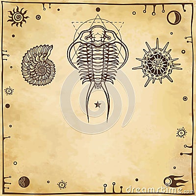 Image of ancient marine organisms: trilobit, mollusk, radiolaria. Vector Illustration