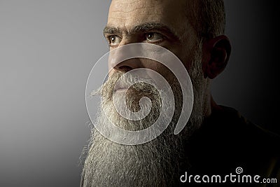 a bearded mature male portrait Stock Photo