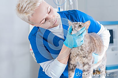 Image of a beautiful blonde nurse in a surgical suit. Examination of the teeth in the clinic. Veterinary medicine. Dentistry Stock Photo