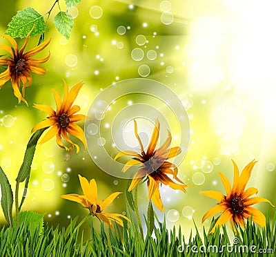 image of beautiful bright festive flowers on a green blurred background Stock Photo