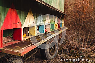 Image - Beautiful colored wooden beehives on wheels on meadow next to the forest on sunset. Colorful moving beehive apiary Stock Photo