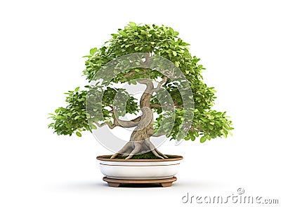 Image of beautiful thai socotranum tree in a pot on white background. Flower, Illustration, Generative AI Stock Photo