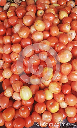 This is an image of beautiful tomato. Stock Photo