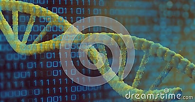 Image of binary coding data processing over dna strand spinning Stock Photo