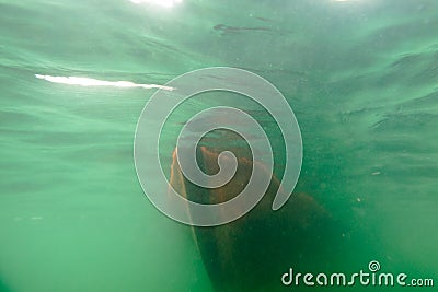 Image of a boat underwater, clear sea water. Tropical ocean. Stock Photo