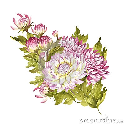 Image bouquet of chrysanthemum. Hand draw watercolor illustration. Cartoon Illustration