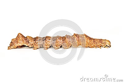 Image of brown caterpillars isolated on white background. Animal. Insect. Worm Stock Photo