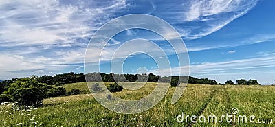 Lightly cloudy summertime hilltop meadow with wheel tracks in grass and forest in the background Stock Photo