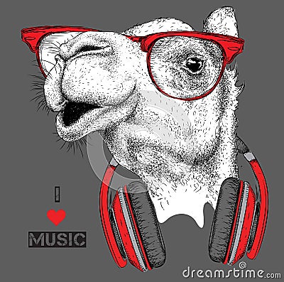 The image of the camel in the glasses, headphones and in hip-hop hat. Vector illustration. Vector Illustration