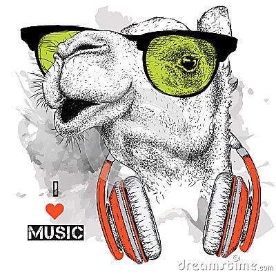 The image of the camel in the glasses, headphones and in hip-hop hat. Vector illustration. Vector Illustration