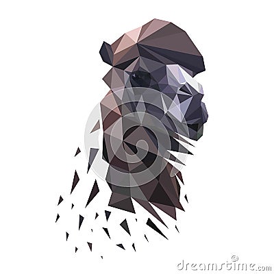 Image of a camel`s head. Vector illustration polygon Vector Illustration