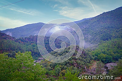 Ethereal Mist in the Mountainous Woodlands Stock Photo