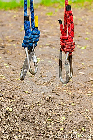 Image of a carabine hooks with blue and red climbing ropes hanging down. Shackles attached to lines Stock Photo